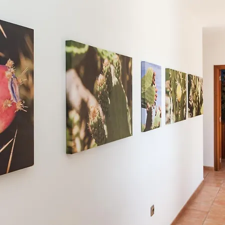 & Tao Mazo 公寓 拉哈雷斯