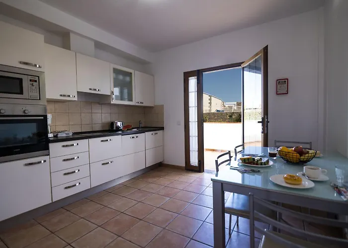 & Tao Mazo * לאחארס